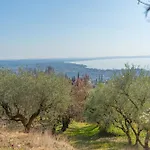 Panorama شاليه